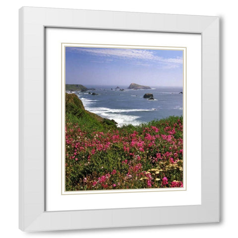 Oregon Seascape of Goat Rock and sweet peas White Modern Wood Framed Art Print with Double Matting by Terrill, Steve