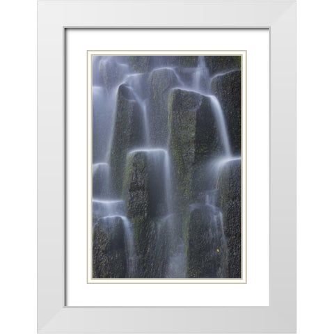 Oregon, Proxy Falls Waterfalls over basalt White Modern Wood Framed Art Print with Double Matting by Delisle, Gilles