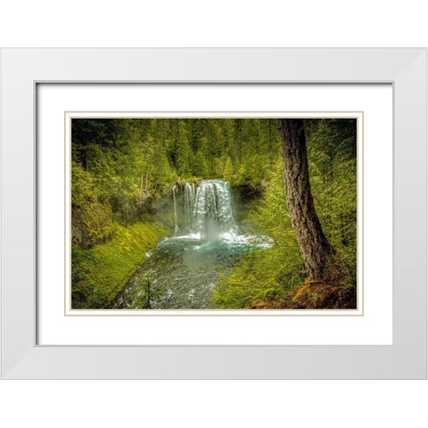 Oregon-McKenzie River Koosah Falls landscape  White Modern Wood Framed Art Print with Double Matting by Jaynes Gallery