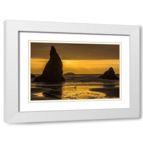 Oregon-Bandon Beach Wizards Hat formation at sunset  White Modern Wood Framed Art Print with Double Matting by Jaynes Gallery