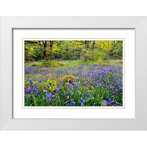 Oregon-Camassia Natural Area Field with blue and pink flowers White Modern Wood Framed Art Print with Double Matting by Jaynes Gallery