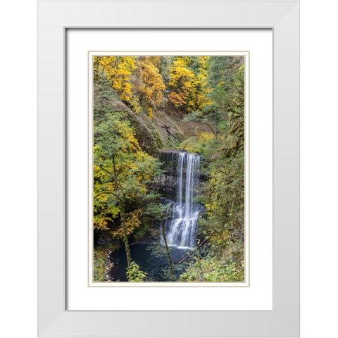 USA-Oregon-Silver Falls State Park Lower South Falls waterfall landscape White Modern Wood Framed Art Print with Double Matting by Jaynes Gallery