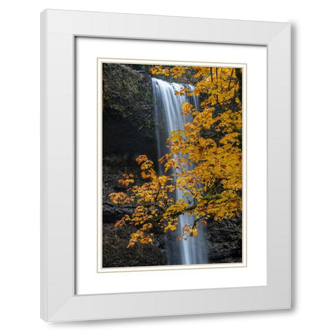 USA-Oregon-Silver Falls State Park Tall waterfall and forest in autumn White Modern Wood Framed Art Print with Double Matting by Jaynes Gallery