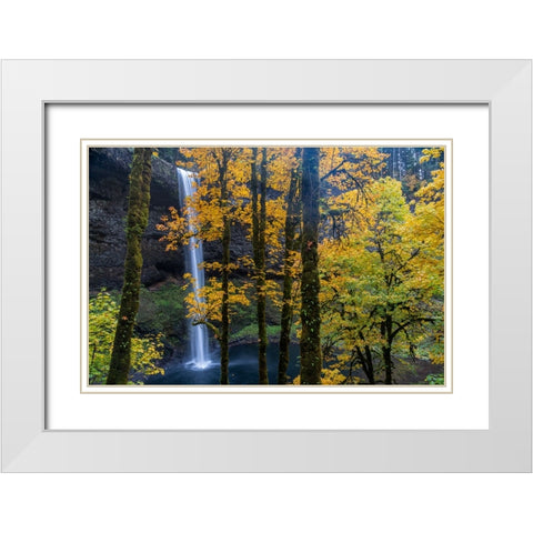 USA-Oregon-Silver Falls State Park Tall waterfall and forest in autumn White Modern Wood Framed Art Print with Double Matting by Jaynes Gallery