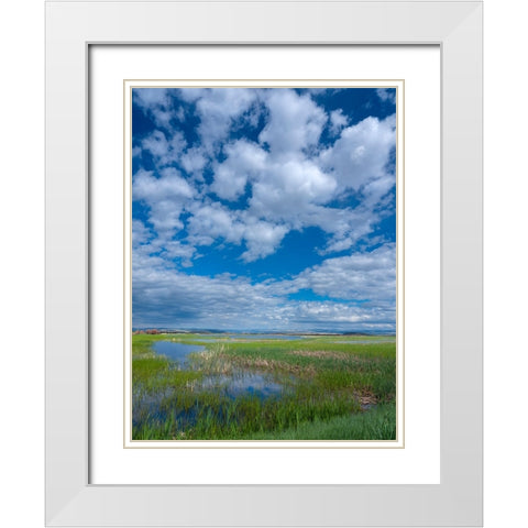 Malheur National Wildlife Refuge White Modern Wood Framed Art Print with Double Matting by Sederquist, Betty