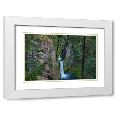 Toketee Falls runs over basalt columns in the Umpqua National Forest-Oregon-USA White Modern Wood Framed Art Print with Double Matting by Haney, Chuck