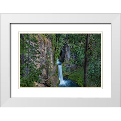 Toketee Falls runs over basalt columns in the Umpqua National Forest-Oregon-USA White Modern Wood Framed Art Print with Double Matting by Haney, Chuck