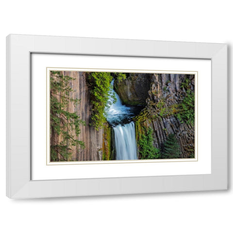 Toketee Falls runs over basalt columns in the Umpqua National Forest-Oregon-USA White Modern Wood Framed Art Print with Double Matting by Haney, Chuck