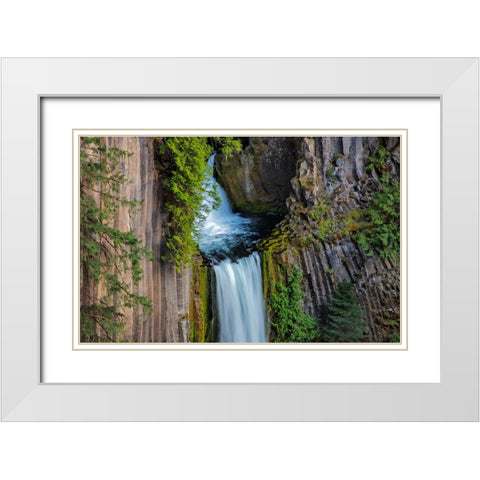 Toketee Falls runs over basalt columns in the Umpqua National Forest-Oregon-USA White Modern Wood Framed Art Print with Double Matting by Haney, Chuck