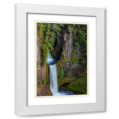 Toketee Falls runs over basalt columns in the Umpqua National Forest-Oregon-USA White Modern Wood Framed Art Print with Double Matting by Haney, Chuck