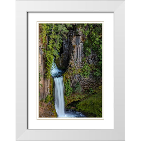 Toketee Falls runs over basalt columns in the Umpqua National Forest-Oregon-USA White Modern Wood Framed Art Print with Double Matting by Haney, Chuck