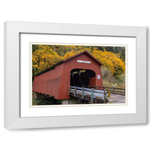 Chitwood Covered Bridge in autumn in Lincoln County-Oregon-USA White Modern Wood Framed Art Print with Double Matting by Haney, Chuck