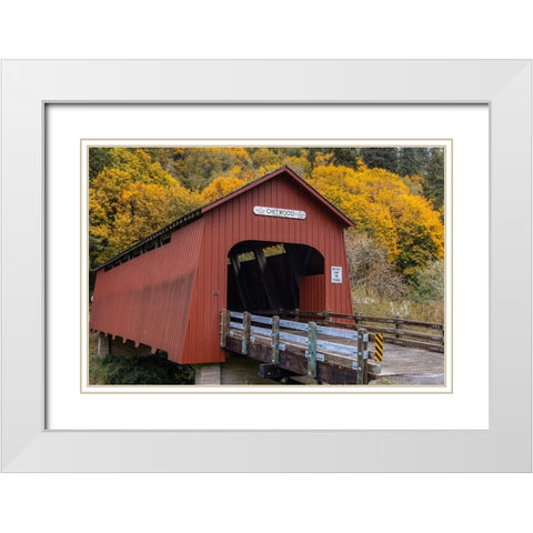 Chitwood Covered Bridge in autumn in Lincoln County-Oregon-USA White Modern Wood Framed Art Print with Double Matting by Haney, Chuck