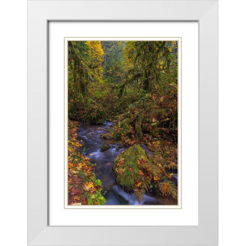 Munson Creek Falls State Natural Site in autumn near Tillamook-Oregon-USA White Modern Wood Framed Art Print with Double Matting by Haney, Chuck