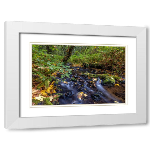 Munson Creek Falls State Natural Site in autumn near Tillamook-Oregon-USA White Modern Wood Framed Art Print with Double Matting by Haney, Chuck