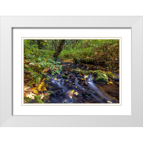 Munson Creek Falls State Natural Site in autumn near Tillamook-Oregon-USA White Modern Wood Framed Art Print with Double Matting by Haney, Chuck