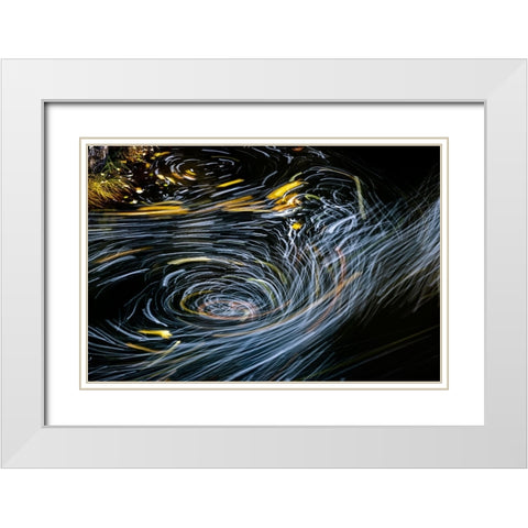 Eddy forms swirling patterns in the Nehalem River in autumn in the Tillamook State Forest-Oregon-USA White Modern Wood Framed Art Print with Double Matting by Haney, Chuck