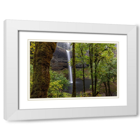 South Falls at Silver Falls State Park near Sublimity-Oregon-USA White Modern Wood Framed Art Print with Double Matting by Haney, Chuck