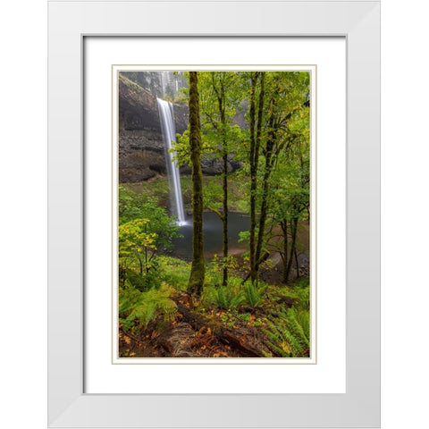 South Falls at Silver Falls State Park near Sublimity-Oregon-USA White Modern Wood Framed Art Print with Double Matting by Haney, Chuck