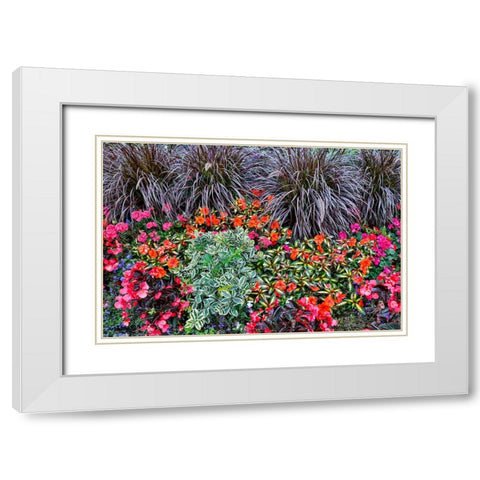USA- Oregon. Cannon Beach Garden with orange New Guinea impatiens- grasses and reddish geraniums White Modern Wood Framed Art Print with Double Matting by Gulin, Darrell