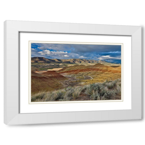 USA- Oregon. John Day Fossil Beds National Monument badlands landscape. White Modern Wood Framed Art Print with Double Matting by Gulin, Darrell