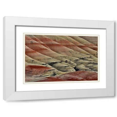 USA- Oregon. John Day Fossil Beds National Monument badlands landscape. White Modern Wood Framed Art Print with Double Matting by Gulin, Darrell