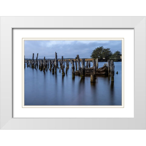 Usa-Oregon-Bandon Bandon Pier-Long Exposure White Modern Wood Framed Art Print with Double Matting by Looney, Hollice
