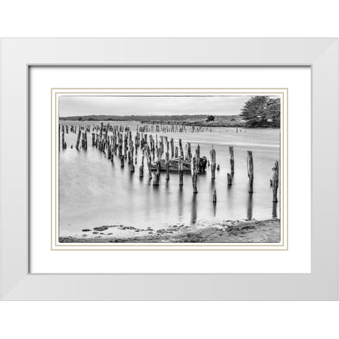 Usa-Oregon-Bandon Bandon Pier-Long Exposure White Modern Wood Framed Art Print with Double Matting by Looney, Hollice