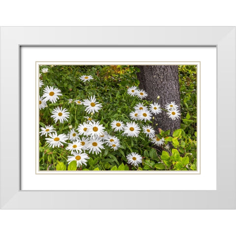 Usa-Oregon-Yachats Plantings White Modern Wood Framed Art Print with Double Matting by Looney, Hollice