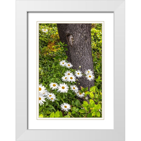 Usa-Oregon-Yachats Plantings White Modern Wood Framed Art Print with Double Matting by Looney, Hollice