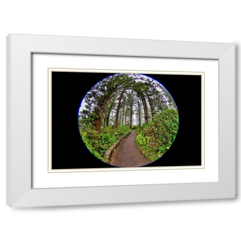 Usa-Oregon-Yachats Cape Perpetua White Modern Wood Framed Art Print with Double Matting by Looney, Hollice