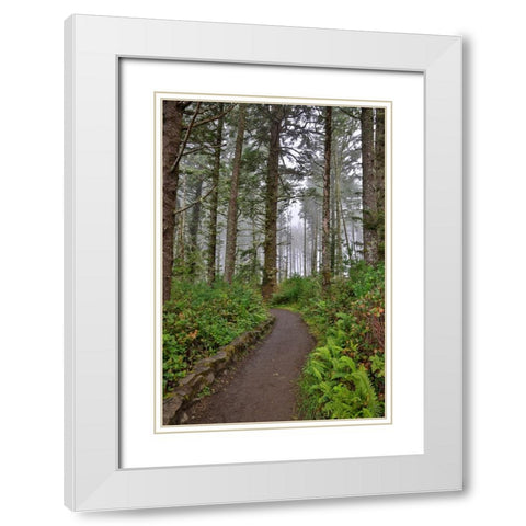 Usa-Oregon-Yachats Cape Perpetua White Modern Wood Framed Art Print with Double Matting by Looney, Hollice