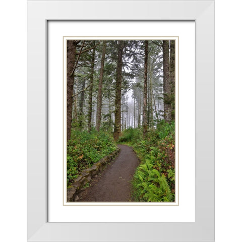 Usa-Oregon-Yachats Cape Perpetua White Modern Wood Framed Art Print with Double Matting by Looney, Hollice