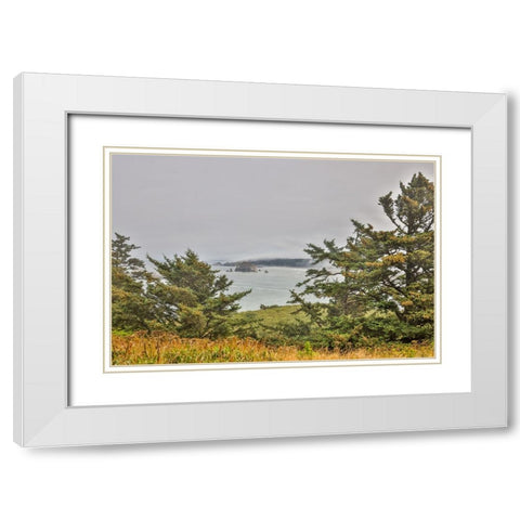 Usa-Oregon-Port Orford Cape Blanco Lighthouse-Coast Near Cape Blanco Lighthouse White Modern Wood Framed Art Print with Double Matting by Looney, Hollice