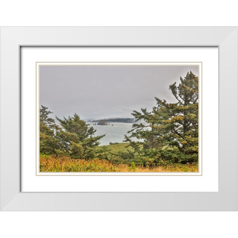 Usa-Oregon-Port Orford Cape Blanco Lighthouse-Coast Near Cape Blanco Lighthouse White Modern Wood Framed Art Print with Double Matting by Looney, Hollice