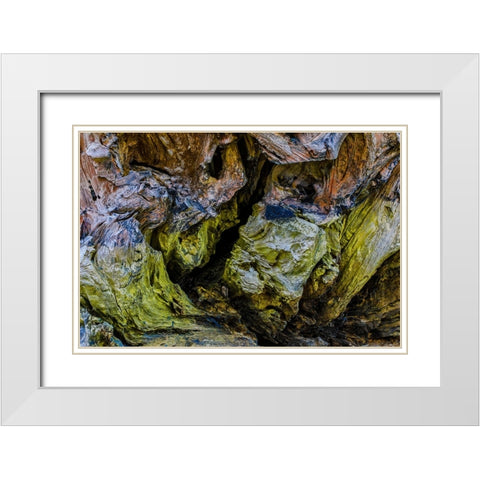 USA-Oregon-Bandon-Beach White Modern Wood Framed Art Print with Double Matting by Restuccia, Joe III