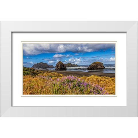 USA-Oregon-Cape Sebastian White Modern Wood Framed Art Print with Double Matting by Restuccia, Joe III