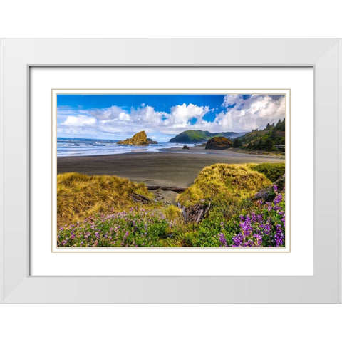 USA-Oregon-Cape Sebastian White Modern Wood Framed Art Print with Double Matting by Restuccia, Joe III