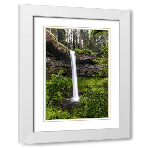 USA-Oregon-Silver Falls State Park-South Falls White Modern Wood Framed Art Print with Double Matting by Restuccia, Joe III