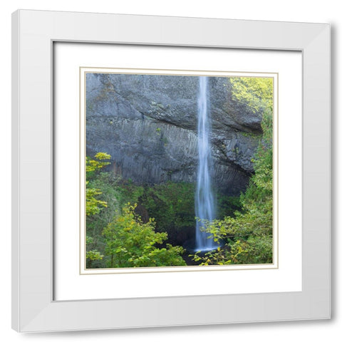 OR-Columbia River Gorge National Scenic Area-Latourell Falls White Modern Wood Framed Art Print with Double Matting by Wild, Jamie and Judy