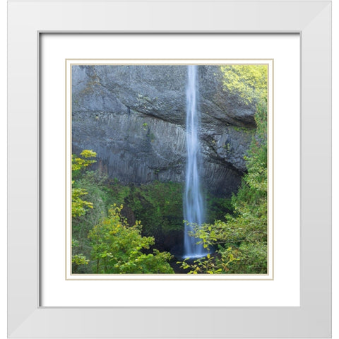 OR-Columbia River Gorge National Scenic Area-Latourell Falls White Modern Wood Framed Art Print with Double Matting by Wild, Jamie and Judy