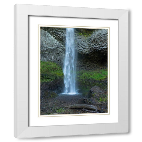 OR-Columbia River Gorge National Scenic Area-Latourell Falls White Modern Wood Framed Art Print with Double Matting by Wild, Jamie and Judy