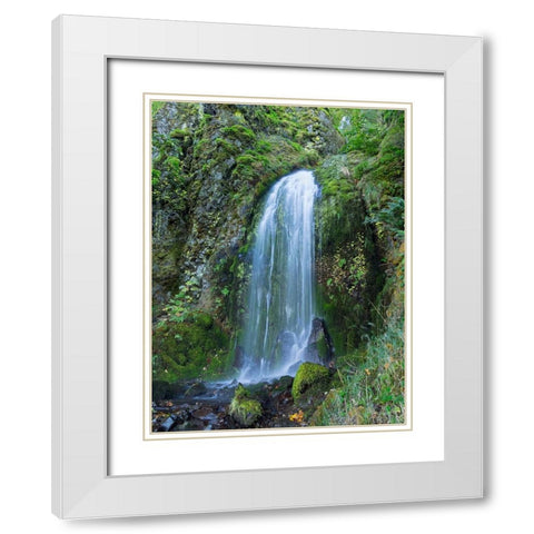 Oregon-Columbia River Gorge National Scenic Area-Lancaster Falls White Modern Wood Framed Art Print with Double Matting by Wild, Jamie and Judy