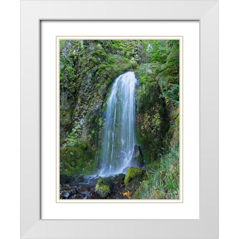 Oregon-Columbia River Gorge National Scenic Area-Lancaster Falls White Modern Wood Framed Art Print with Double Matting by Wild, Jamie and Judy