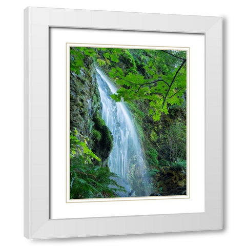 Oregon-Columbia River Gorge National Scenic Area-Lancaster Falls White Modern Wood Framed Art Print with Double Matting by Wild, Jamie and Judy
