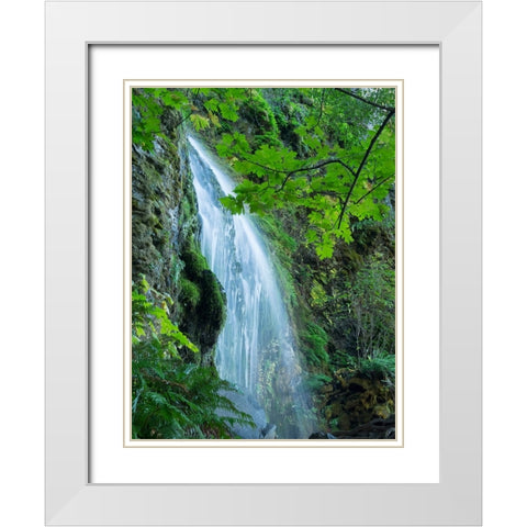 Oregon-Columbia River Gorge National Scenic Area-Lancaster Falls White Modern Wood Framed Art Print with Double Matting by Wild, Jamie and Judy