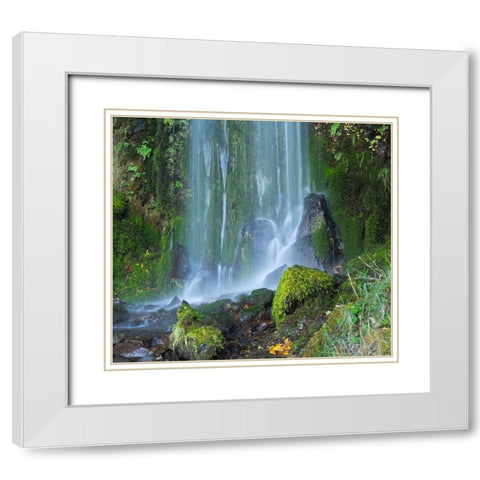 Oregon-Columbia River Gorge National Scenic Area-Lancaster Falls White Modern Wood Framed Art Print with Double Matting by Wild, Jamie and Judy