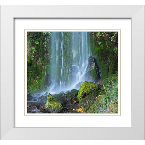 Oregon-Columbia River Gorge National Scenic Area-Lancaster Falls White Modern Wood Framed Art Print with Double Matting by Wild, Jamie and Judy