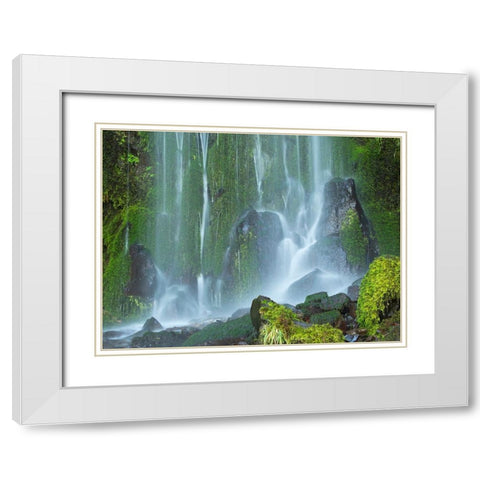 Oregon-Columbia River Gorge National Scenic Area-Lancaster Falls White Modern Wood Framed Art Print with Double Matting by Wild, Jamie and Judy