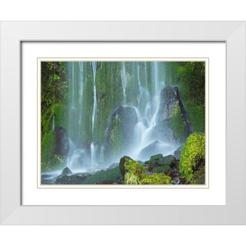 Oregon-Columbia River Gorge National Scenic Area-Lancaster Falls White Modern Wood Framed Art Print with Double Matting by Wild, Jamie and Judy